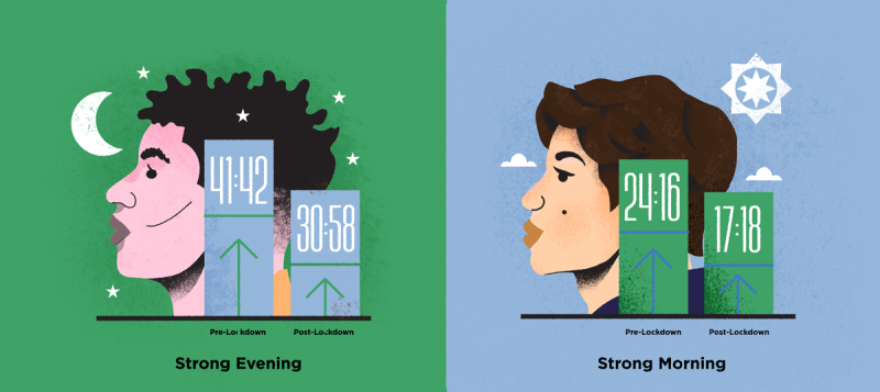 An illustration of strong morning and evening chronotypes.