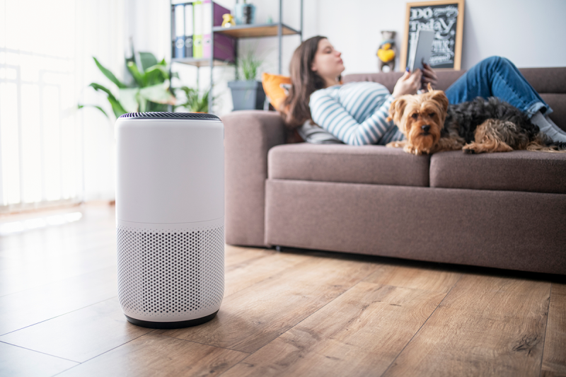 PureAir Pro: Elevate Wellness with Advanced Air Purification PureAir Pro: Elevate Wellness with Advanced Air Purification
