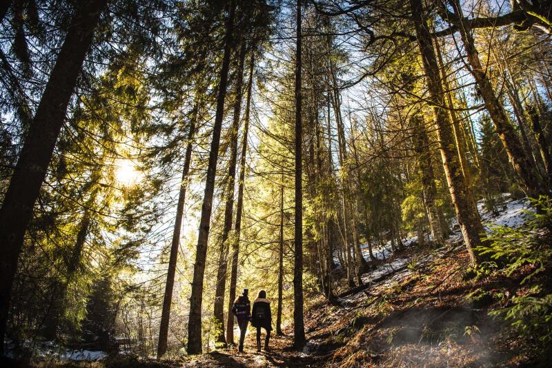 Two friends hiking in the fall.