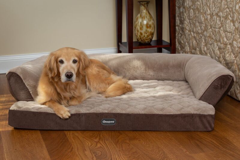 A super lux pet sofa to give this holiday season.