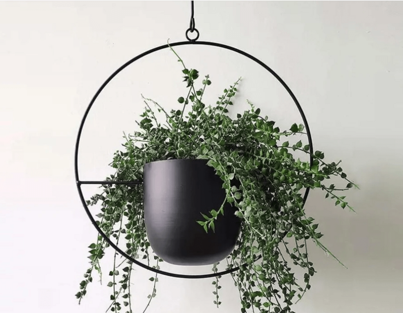 Halo hanging planter, a holiday gift for stress relief and relaxation