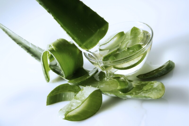 Sliced open aloe leaves and gel