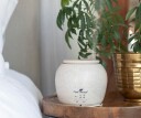 Plant Therapy diffuser next to bed