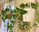 Several planters hanging from hooks in a bedroom. Use this how-to guide for hanging plants from the ceiling in your bedroom with hooks.