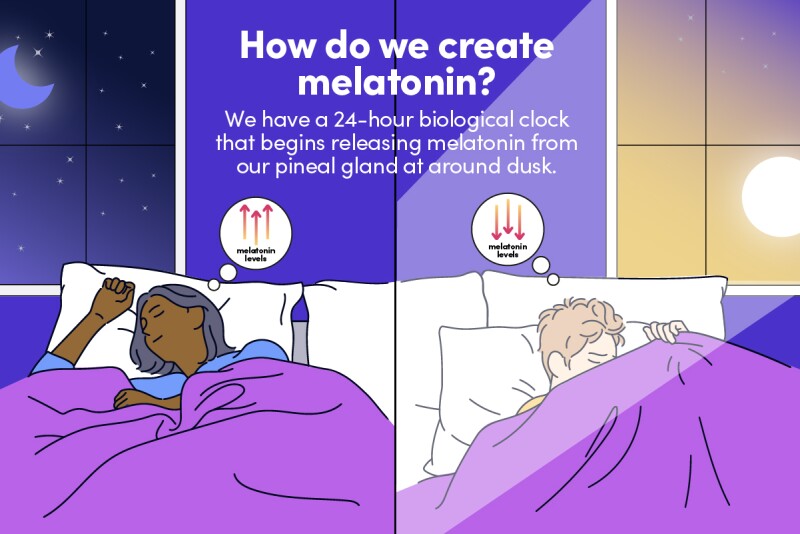 Melatonin Safety: Side Effects, Risks & Drug Interactions | Sleep.com Melatonin Safety: Side Effects, Risks & Drug Interactions | Sleep.com