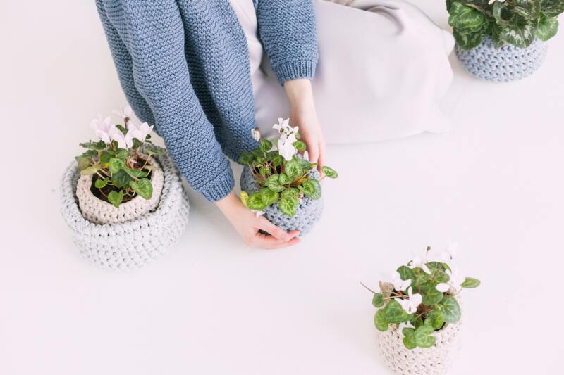 person-in-blue-sweater-holding-green-potted-plant-709785.jpg